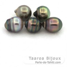 Lot de 5 Perles de Tahiti Cercles C de 9.4  9.9 mm