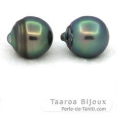 Lot de 2 Perles de Tahiti Cerclées C 13.5 mm