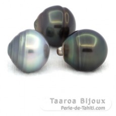 Lot de 3 Perles de Tahiti Cerclées C de 12.5 à 12.9 mm