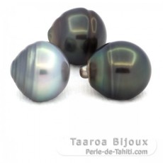 Lot de 3 Perles de Tahiti Cercles C de 12.5  12.9 mm