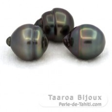 Lot de 3 Perles de Tahiti Cerclées C de 11.5 à 11.9 mm