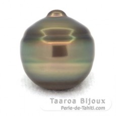 Superbe perle de Tahiti Cerclée C 14.7 mm