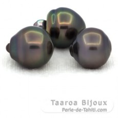 Lot de 3 Perles de Tahiti Cerclées B de 12 à 12.3 mm
