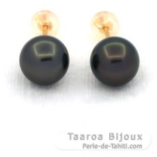 Boucles d'Oreilles en Or 18K et 2 Perles de Tahiti Rondes C 9 mm