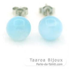 Boucles d'oreilles en Argent et 2 Larimars - 8.7 mm - 1.9 gr