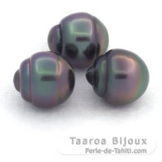 Lot de 3 Perles de Tahiti Cercles B de 10.5  10.7 mm