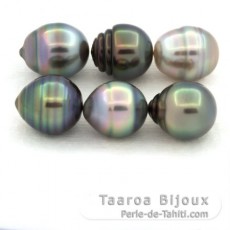 Lot de 6 Perles de Tahiti Cercles B de 9.1  9.4 mm