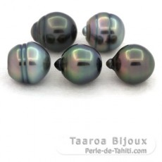 Lot de 5 Perles de Tahiti Cerclées B de 10 à 10.4 mm