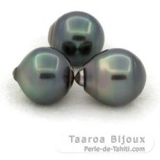 Lot de 3 Perles de Tahiti Cercles C de 12.8  12.9 mm