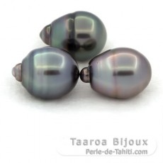 Lot de 3 Perles de Tahiti Cerclées C de 11.6 à 11.9 mm
