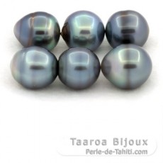 Lot de 6 Perles de Tahiti Cerclées C de 12.5 à 13.1 mm