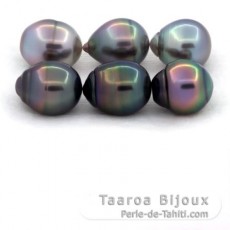 Lot de 6 Perles de Tahiti Cerclées B/C de 10.5 à 10.8 mm