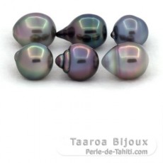 Lot de 6 Perles de Tahiti Cerclées B/C de 10 à 10.4 mm