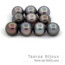 Lot de 10 Perles de Tahiti Rondes et Semi-Rondes C de 8 à 8.4 mm