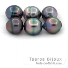 Lot de 6 Perles de Tahiti Cercles B de 11  11.2 mm