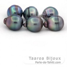 Lot de 6 Perles de Tahiti Cercles B/C de 12  12.4 mm