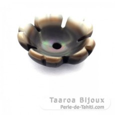 Cupule Fleur en nacre de Tahiti - Diamtre: 10 mm