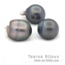 Lot de 3 Perles de Tahiti Cercles C de 13  13.3 mm