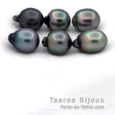 Lot de 6 Perles de Tahiti Semi-Baroques B/C de 11.5 à 11.9 mm