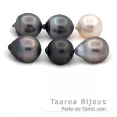 Lot de 6 Perles de Tahiti Semi-Baroques C de 11.6  11.8 mm