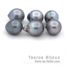Lot de 6 Perles de Tahiti Semi-Baroques B de 11.1 à 11.4 mm