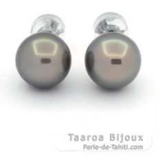 Boucles d'Oreilles en Argent et 2 Perles de Tahiti Rondes C 10.4 mm