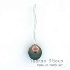 Pendentif en Argent et 1 Perle de Tahiti Cerclée B 9.2 mm