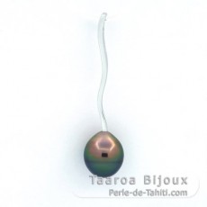 Pendentif en Argent et 1 Perle de Tahiti Cercle B 9.2 mm