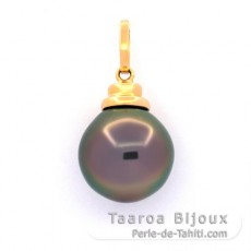 Pendentif en Or 18K et 1 Perle de Tahiti Semi-Baroque B 11.7 mm