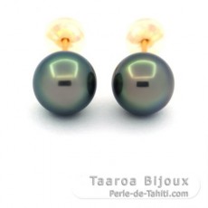 Boucles d'Oreilles en Or 18K et 2 Perles de Tahiti Rondes B/C 8.1 mm